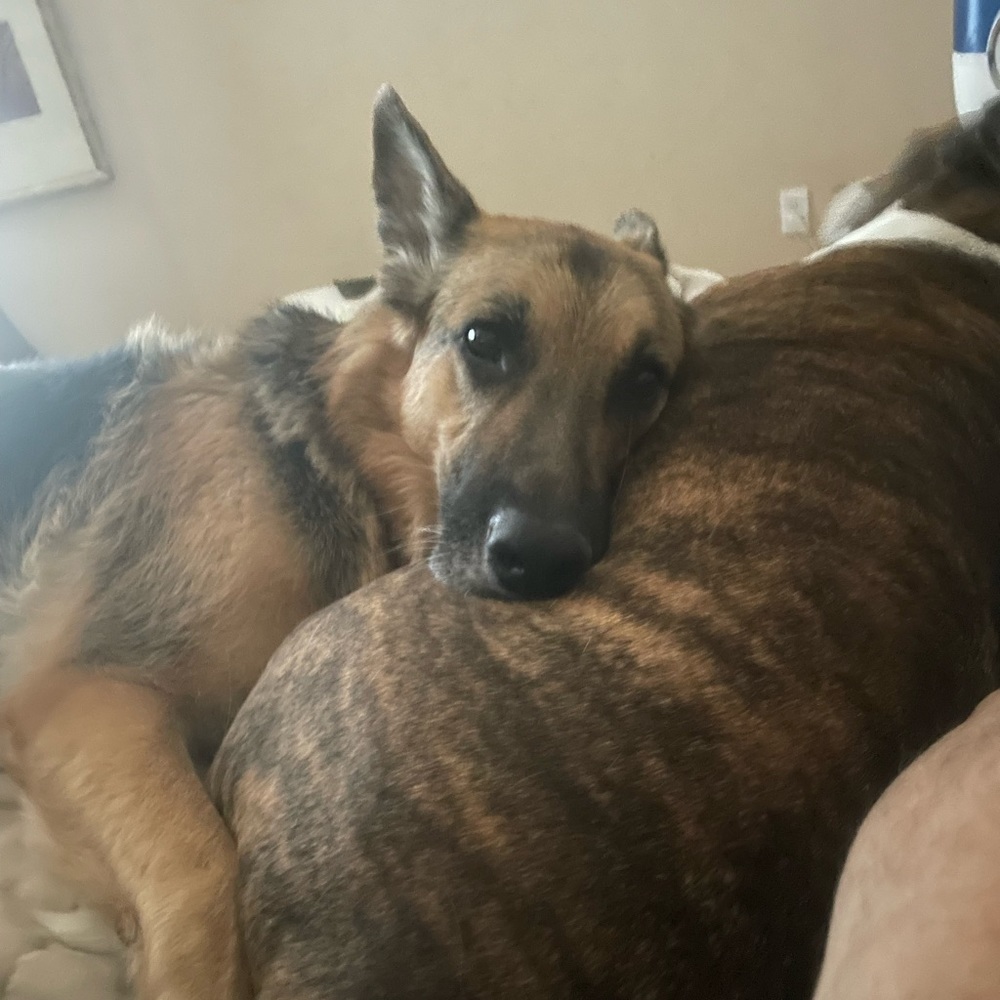 Meet your Posher, Geff